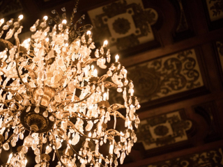 Carved ceiling in the Ballroom. Photo by Elliott O'Donovan.