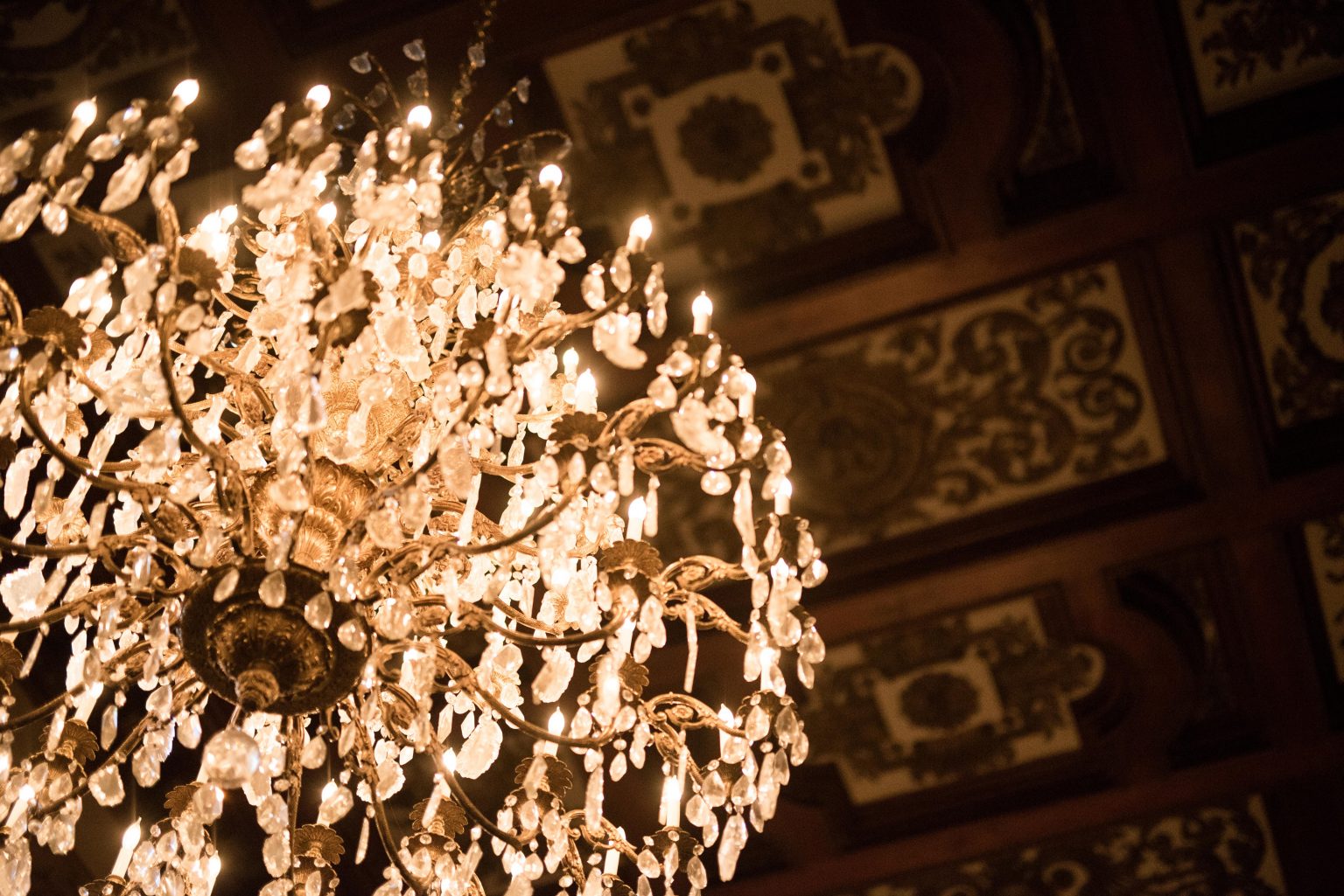 Carved ceiling in the Ballroom. Photo by Elliott O'Donovan.