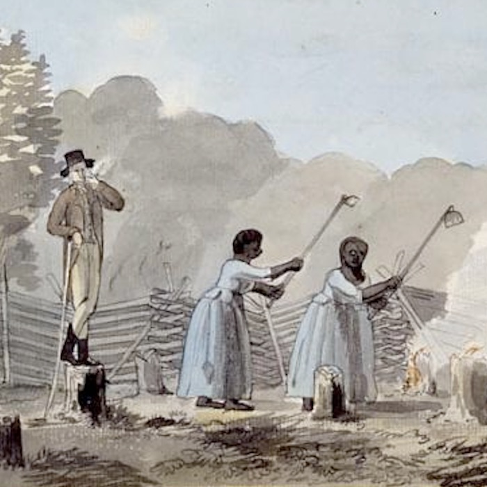 White Over Black by Winthrop Jordan interprets the origins of racism in America, a theme reflected in this watercolor of an overseer and two female slaves by Benjamin Henry Latrobe.