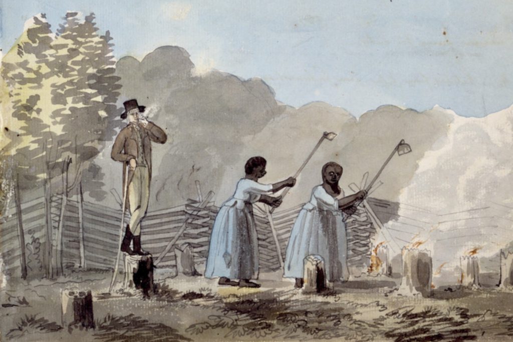 In this watercolor, two female slaves work with hoes while a white oveseer watches. This painting invites a more nuanced interpretation than the 1619 Project curriculum would facilitate.