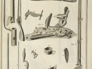 The parts of a musket